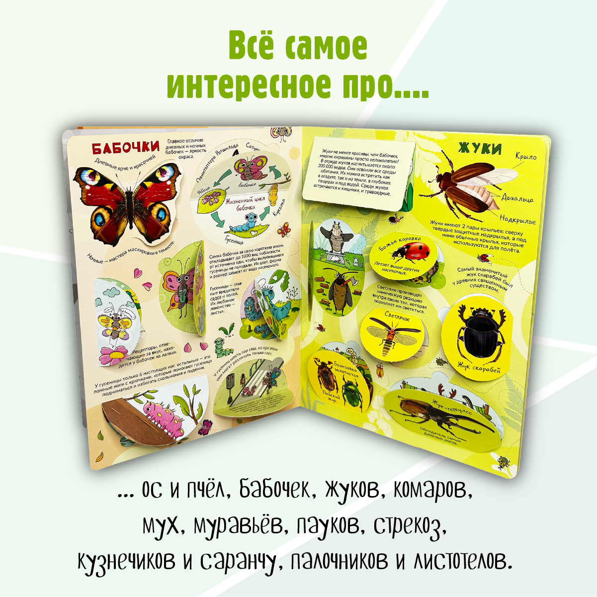 Энциклопедия с окошками БимБиМон Книга детская энциклопедия с окошками Виммельбух - фото 3