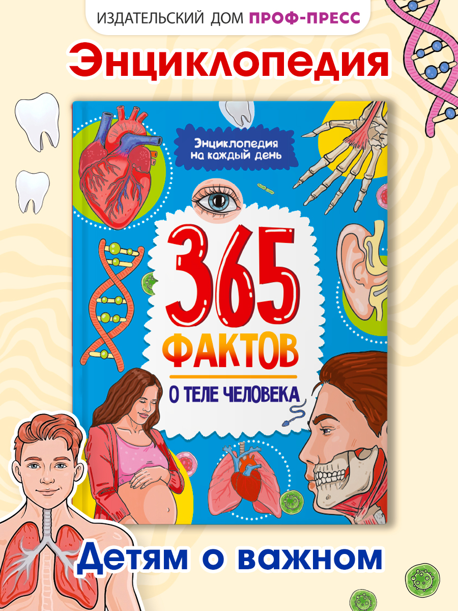 Энциклопедия детская Проф-Пресс 365 фактов о теле человека - фото 1