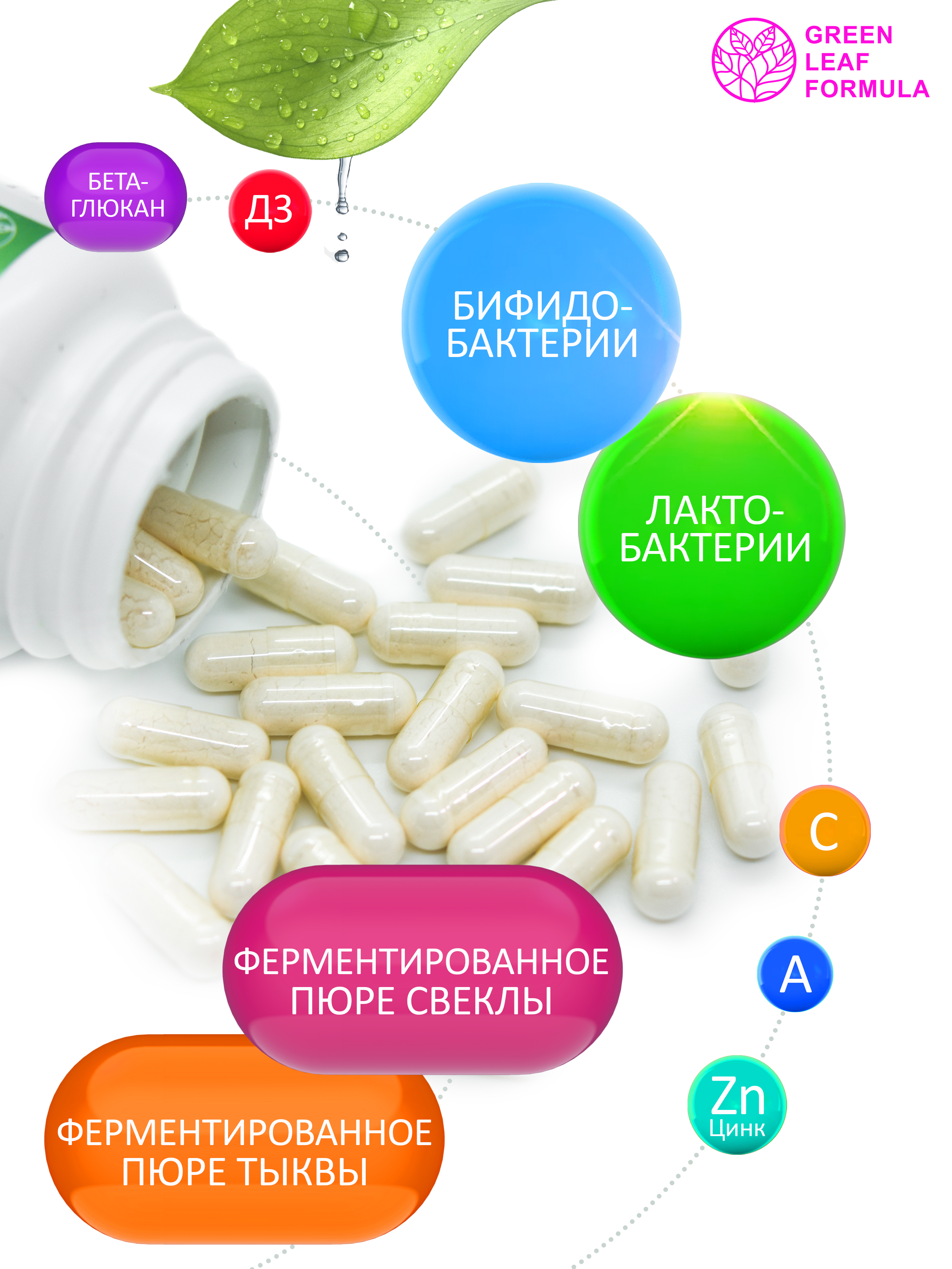 Детский пробиотик Green Leaf Formula витаминный комплекс для детей от 3 лет 60 капсул - фото 2