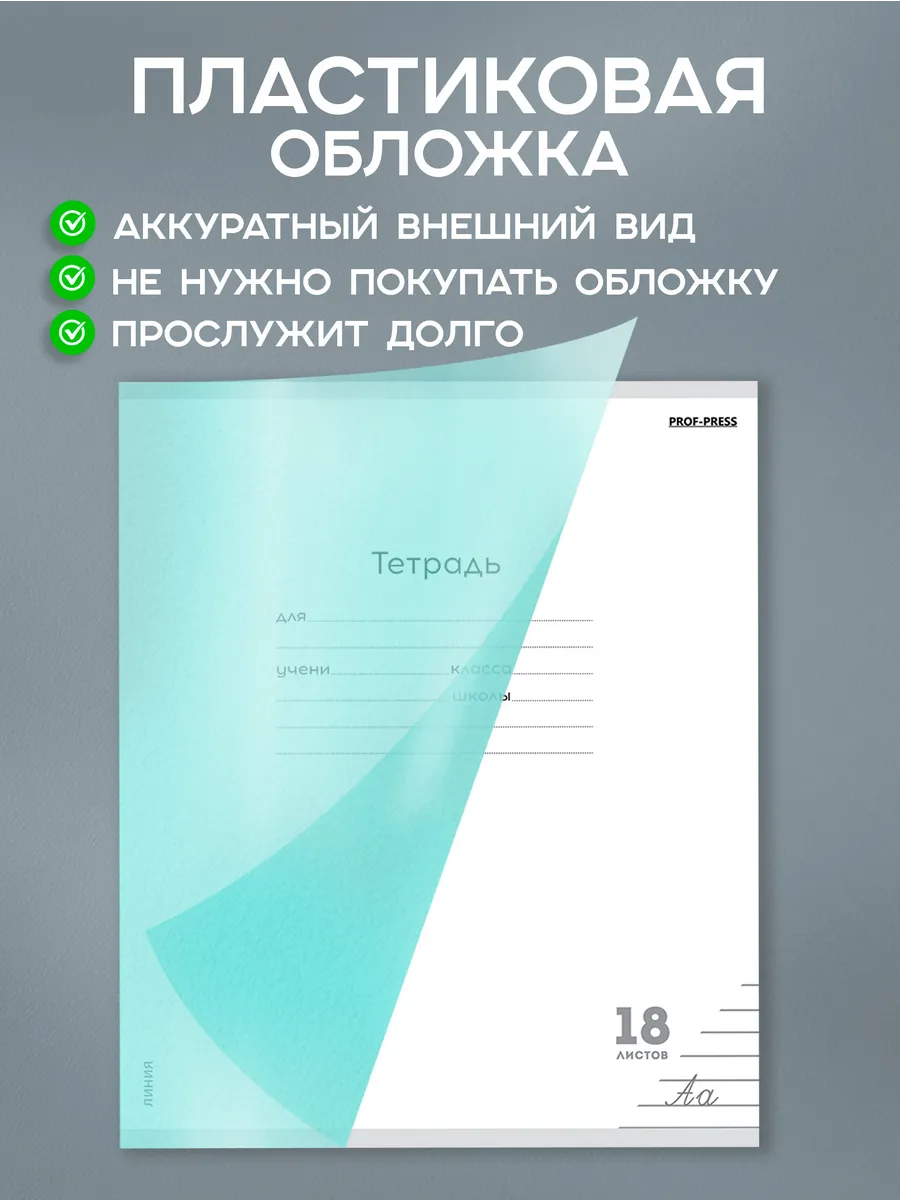 Тетрадь Prof-Press линейка 18 лист. 10 шт. - фото 2