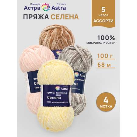 Пряжа для вязания Astra Premium Селена 100г 68м 4шт