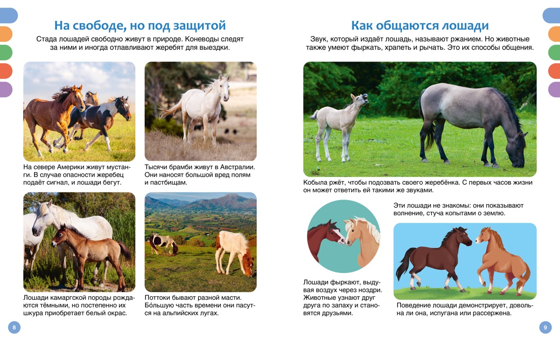 Книга Махаон лошади - фото 10