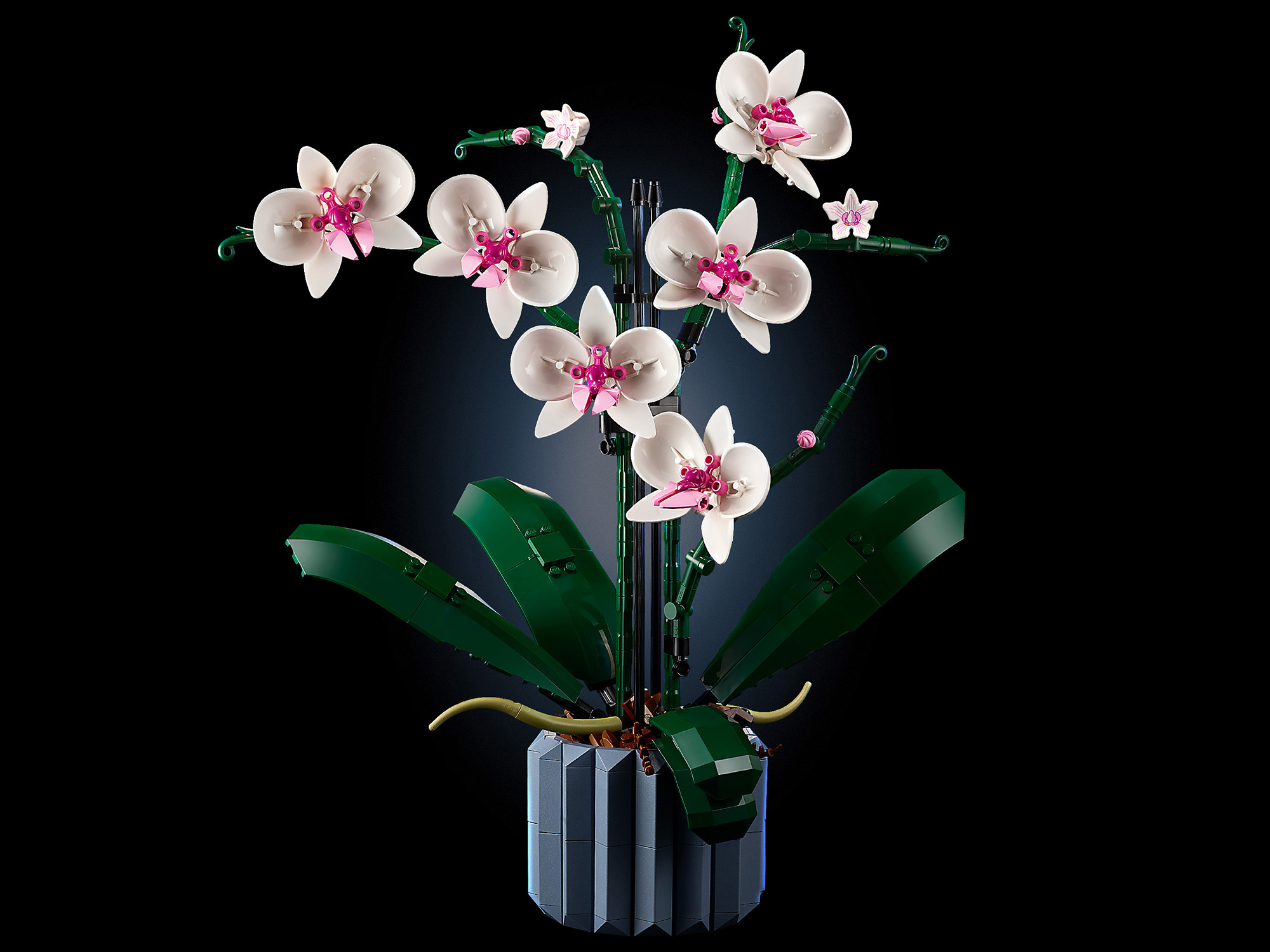 Конструктор LEGO Botanicals Орхидея в горшке 608 дет. - фото 7