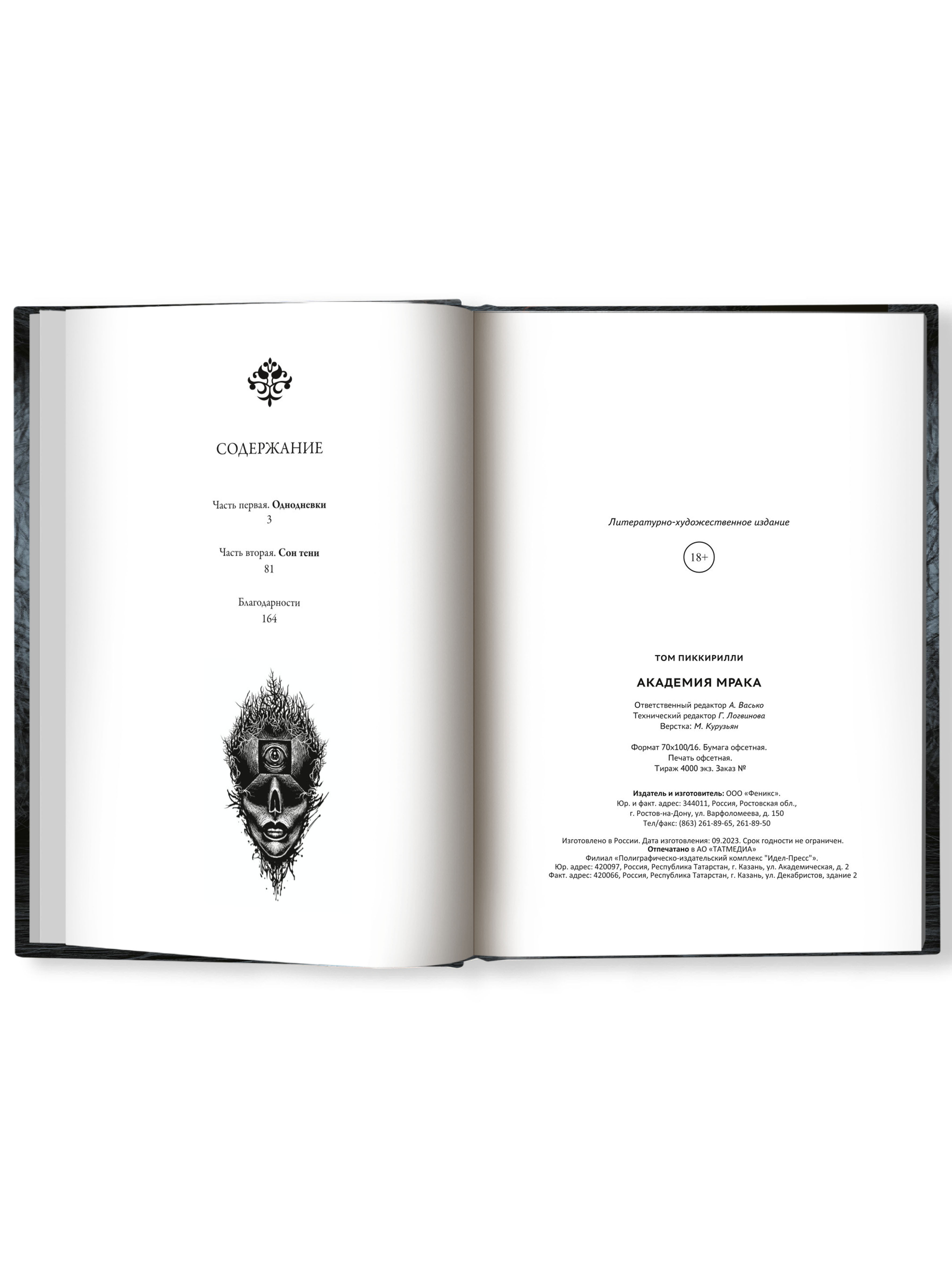 Книга Феникс Академия мрака - фото 15