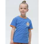 Футболка Pelican