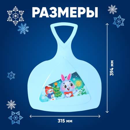 Ледянка Соломон 40 см