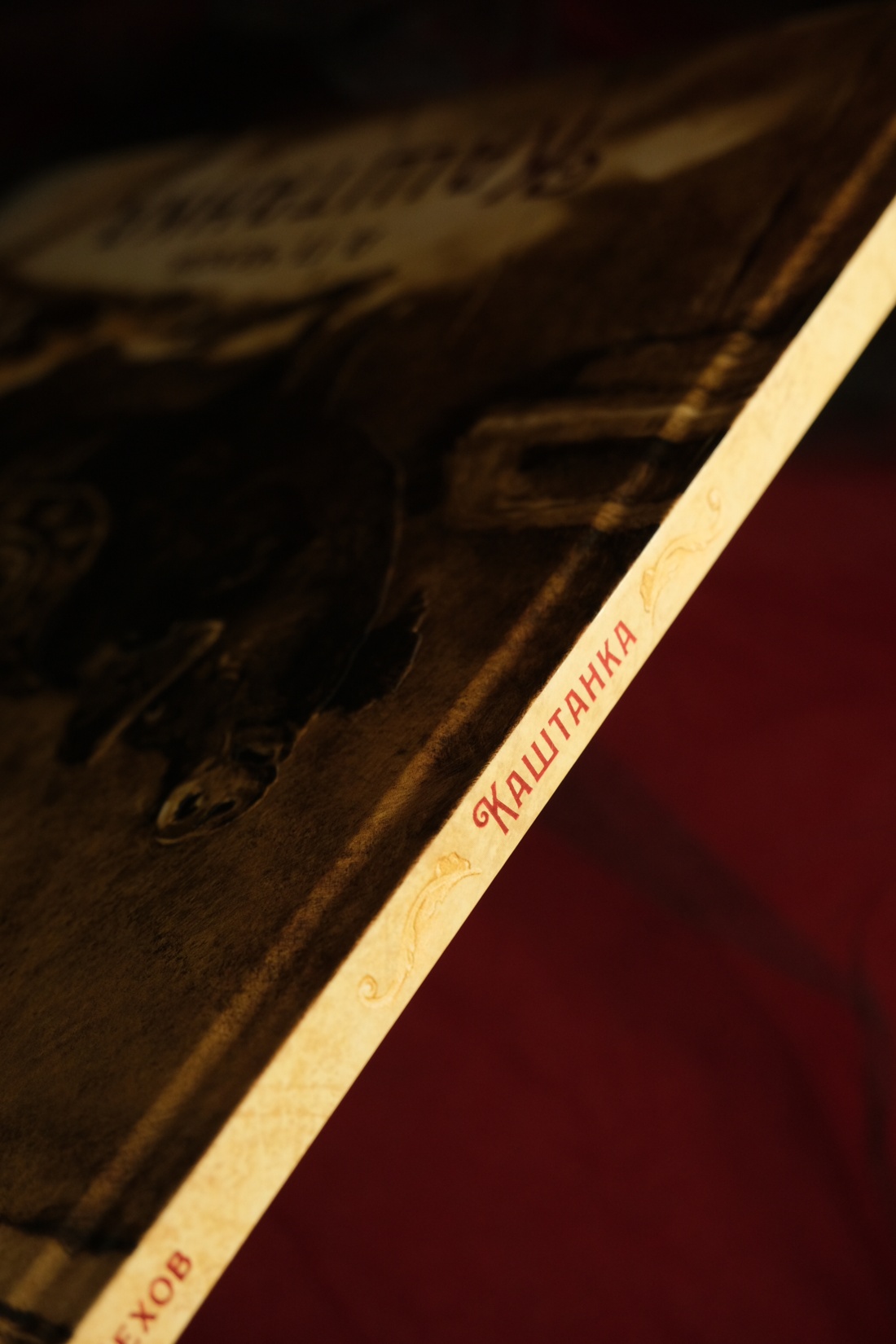 Книга Махаон ШДЛ. Чехов А. Каштанка (иллюстрации Н. Демидовой) - фото 12