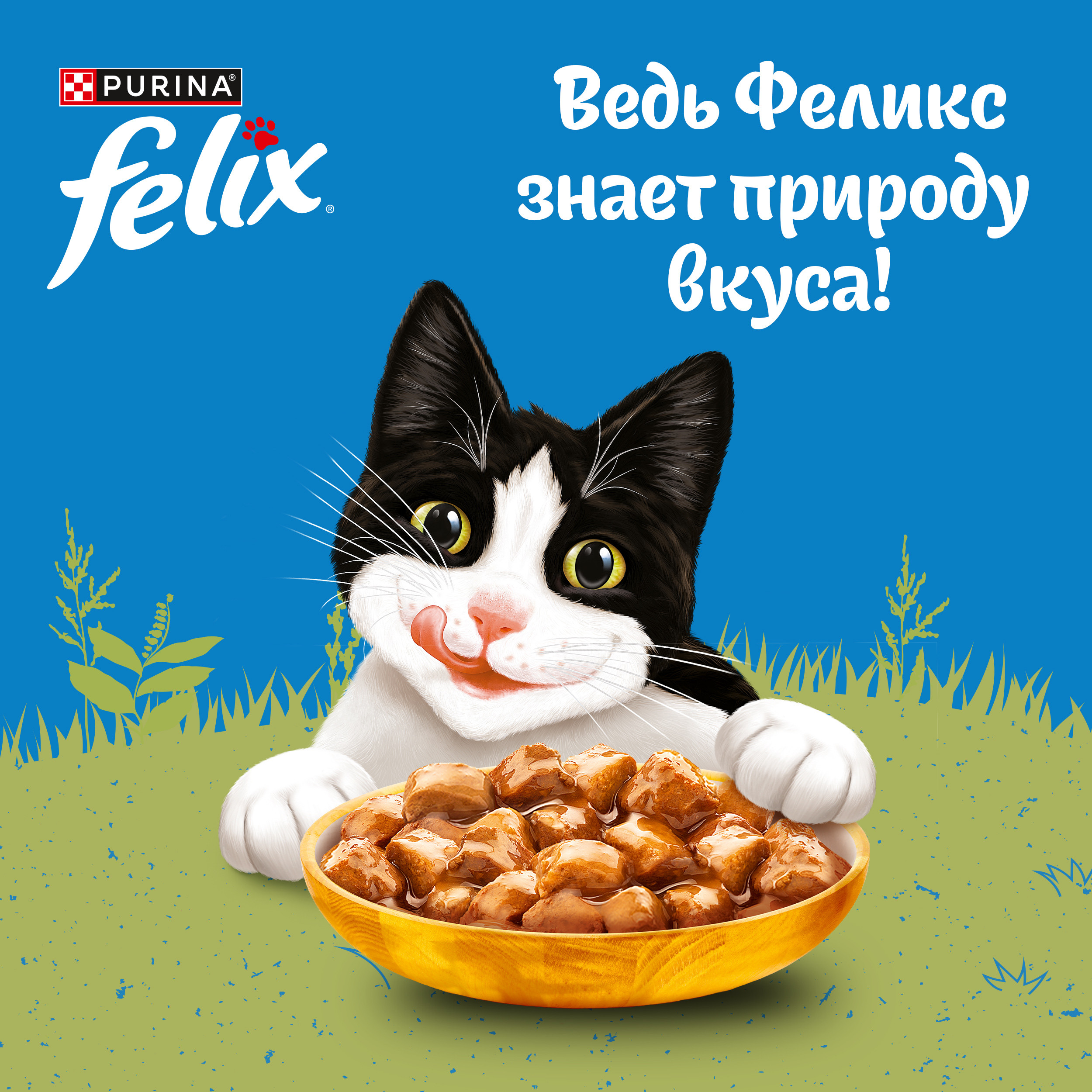 Корм для кошек Felix 75г для взрослых с курицей в соусе - фото 4