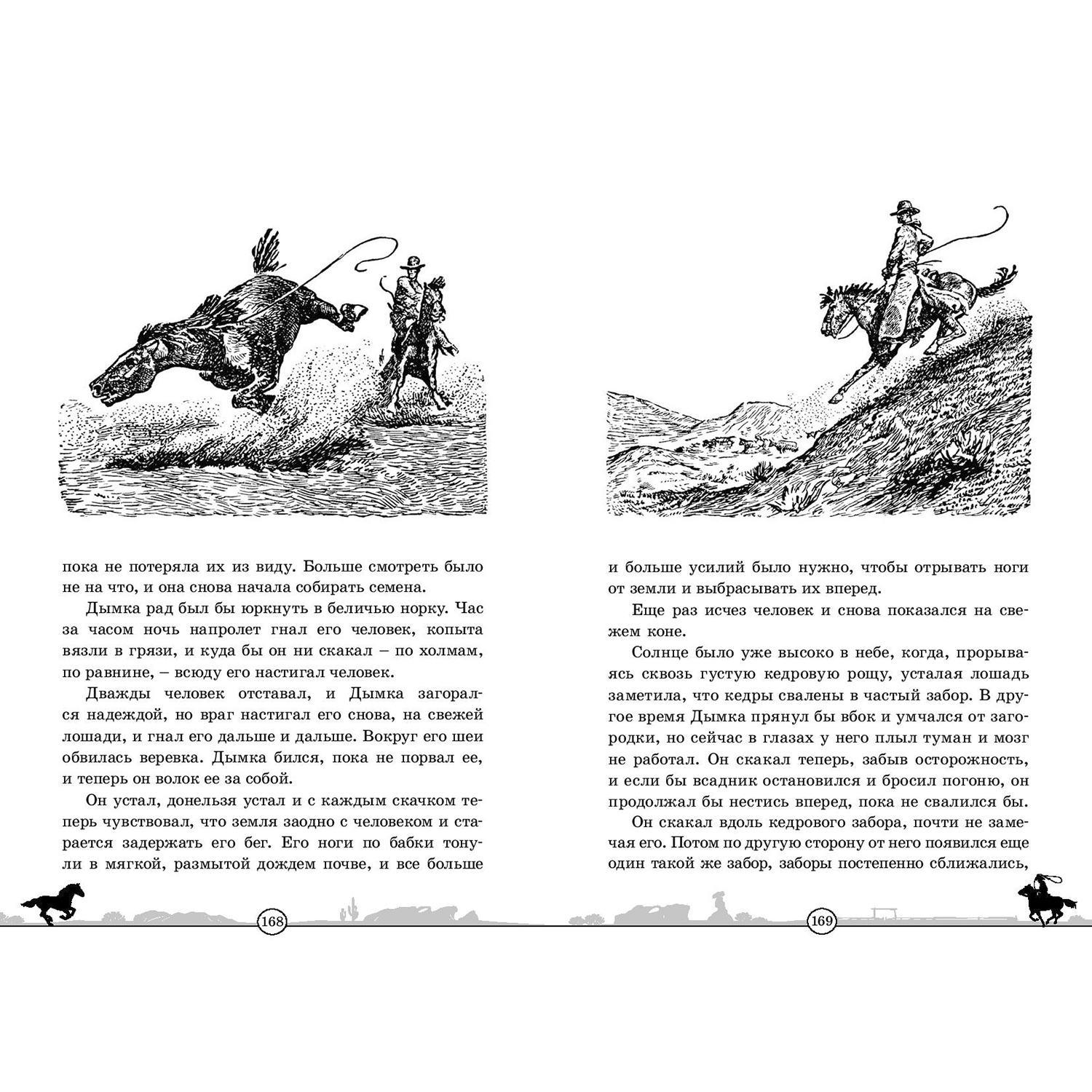 Книга ЭНАС-книга Дымка. Конь ковбоя - фото 4