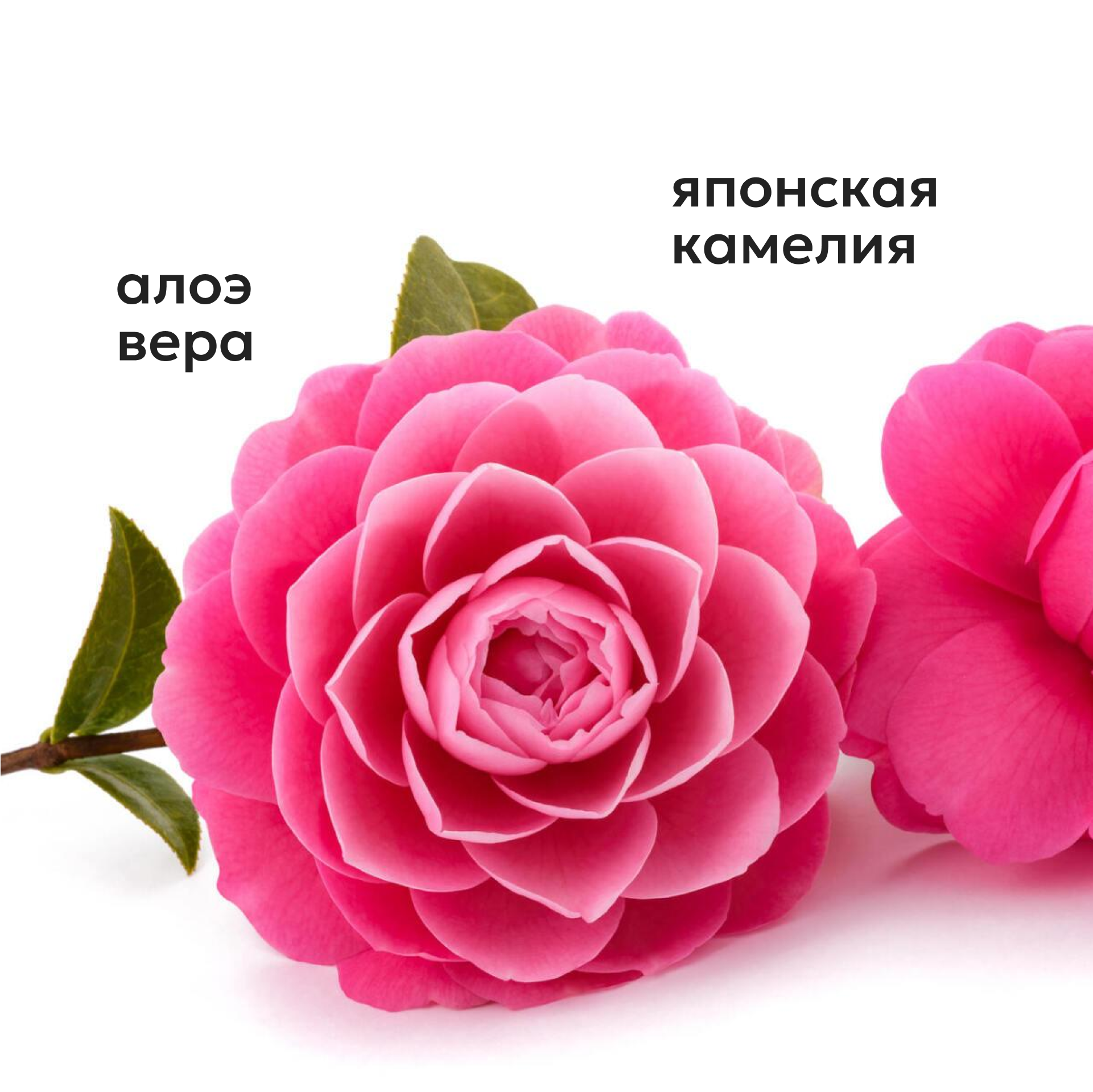 Гель Likato Professional 250 мл - фото 2