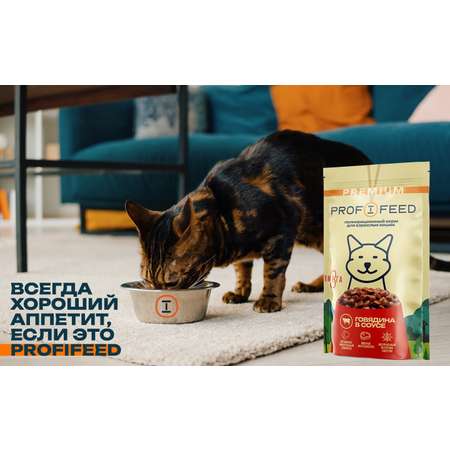 Корм консервированный для кошек пауч Profifeed с говядиной в соусе 75 г 28 шт