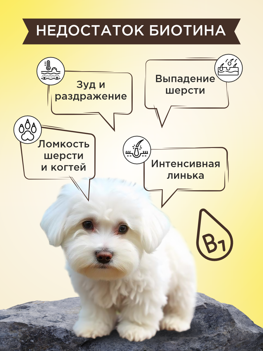 Полезное лакомство для собак GOODR DOG со вкусом творога и сметаны 90 таб. - фото 4