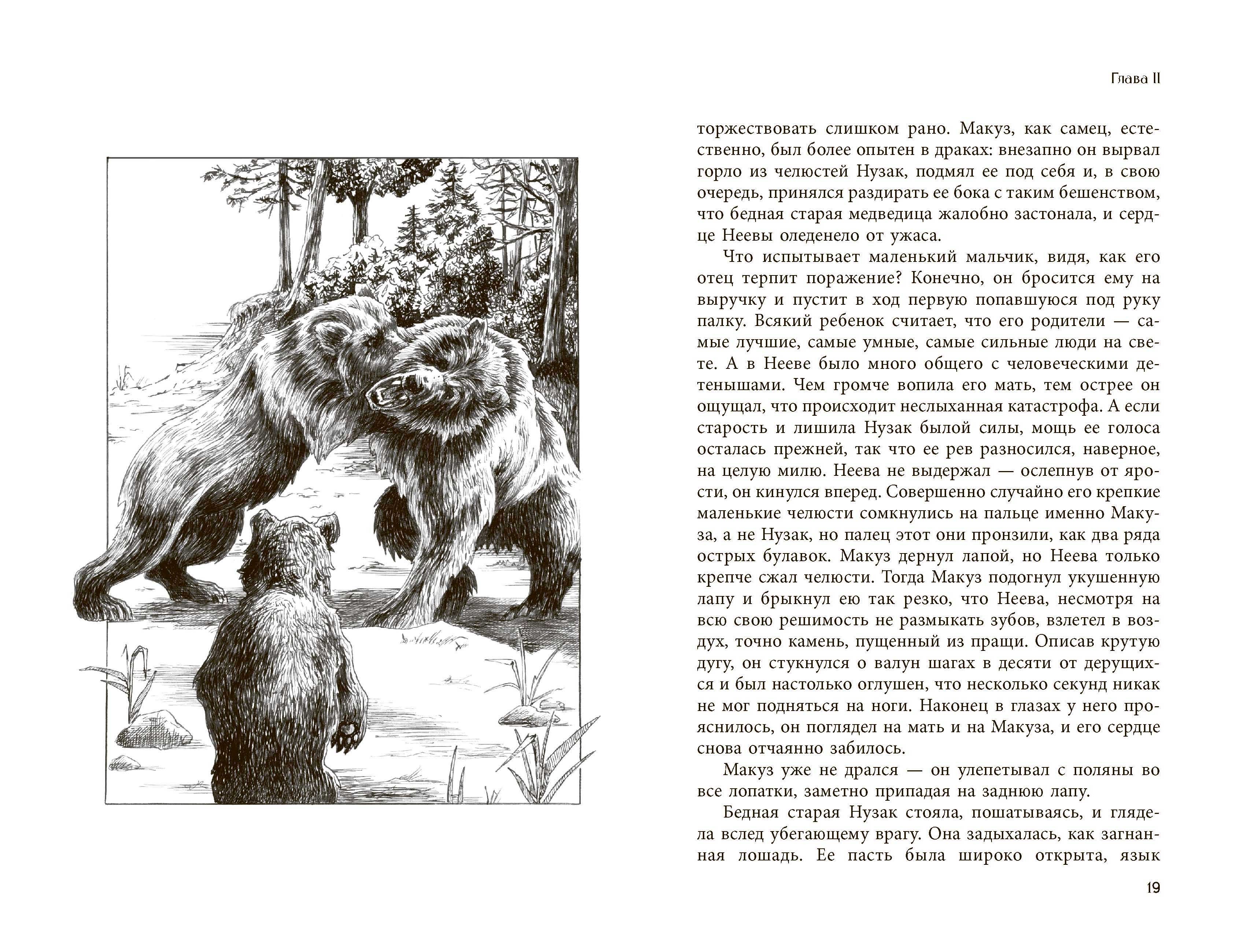 Книга Качели Бродяги Севера - фото 4