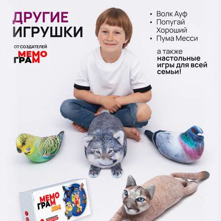 Сквиш Мемограм