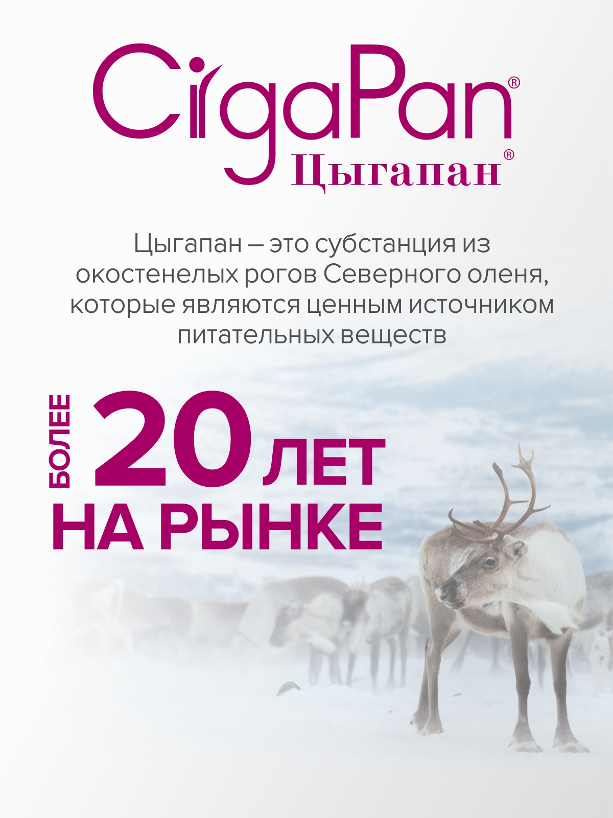Цыгапан витамины и минералы для кормящих женщин, 400 мг, 120 капсул - фото 17