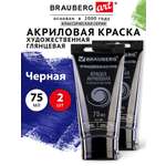 Краски акриловые Brauberg 2 цв.