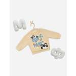 Свитшот Mark Formelle (Марк Формэль)