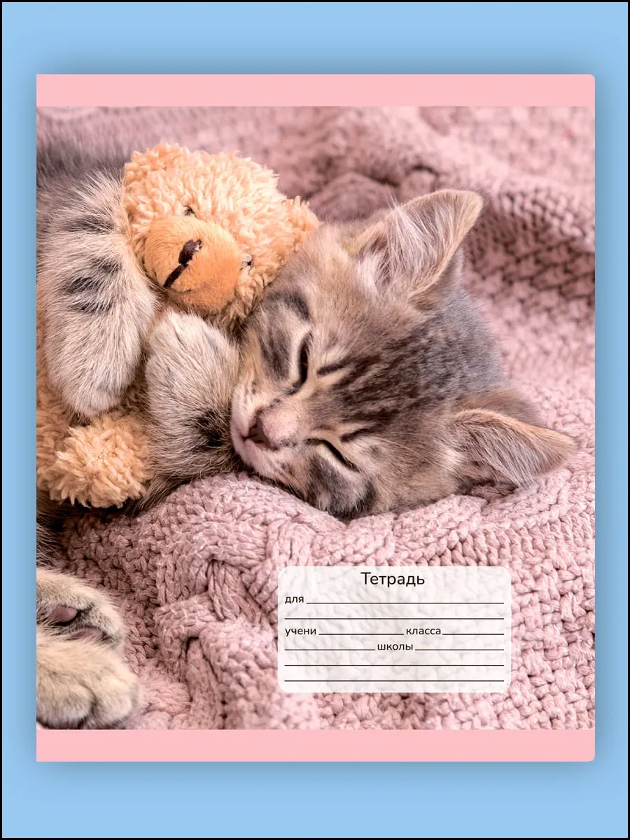 Тетрадь AXLER клетка 12 лист. 10 шт. - фото 8