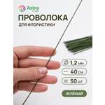 Набор для творчества Astra Craft плетение проволока 1,2 мм 40 см 50 шт