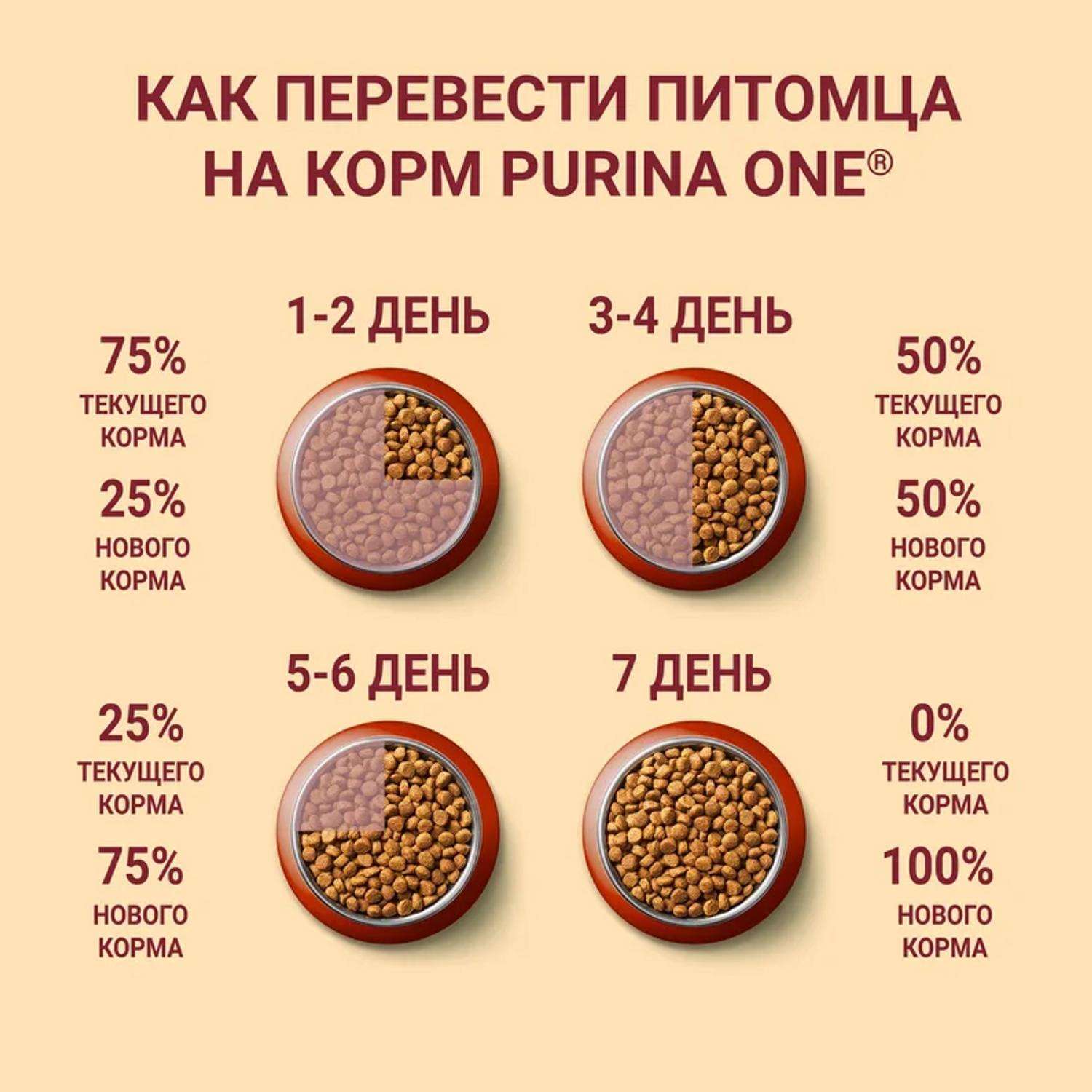 Корм для собак Purina One Mini Mini активных мелких пород курица-рис 1.5кг - фото 7