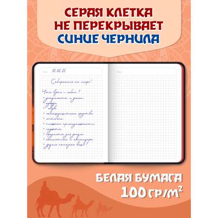 Блокнот Проф-Пресс в клетку А5. Караван 168 лист.
