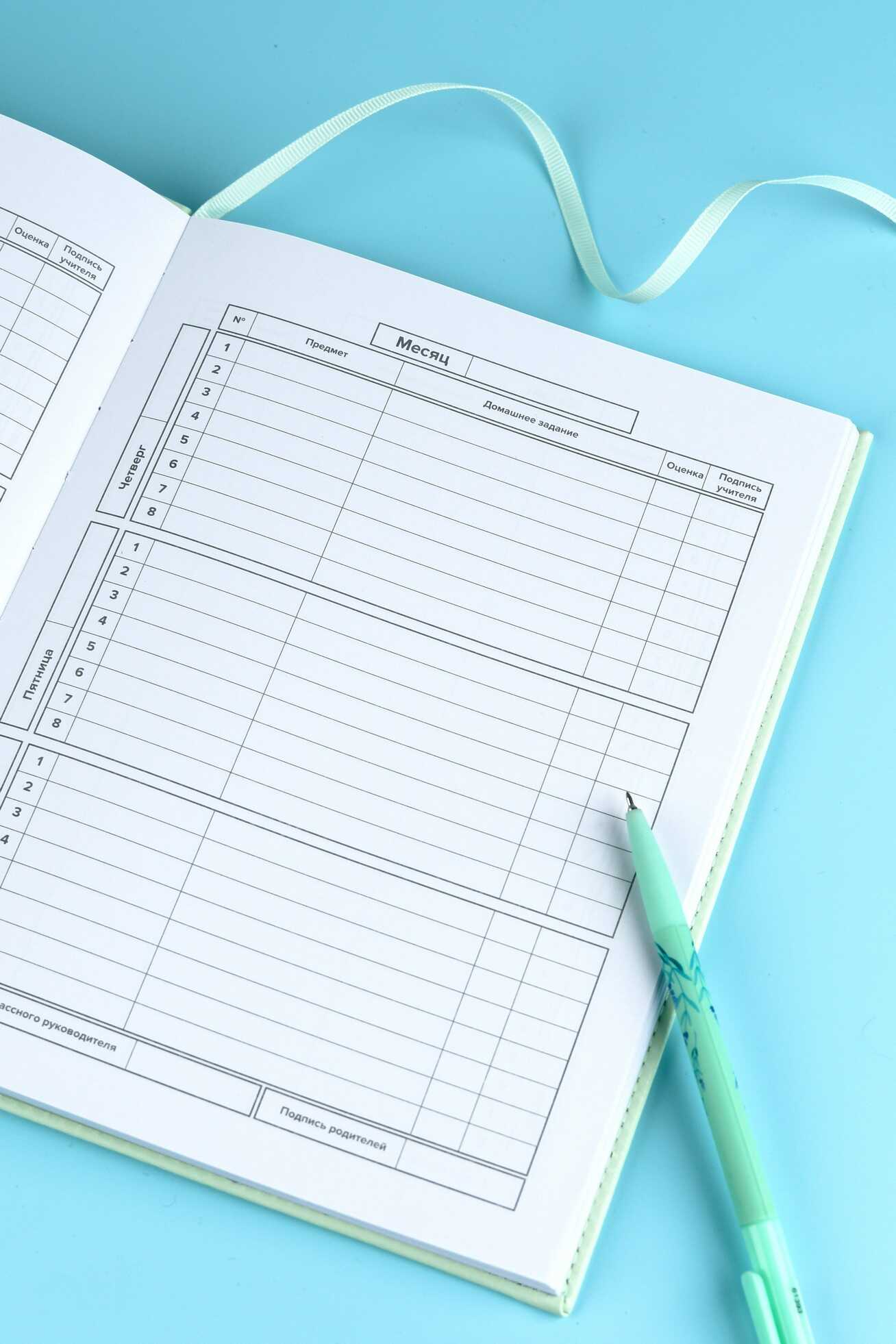 Дневник школьный Феникс + Салатовый - фото 3