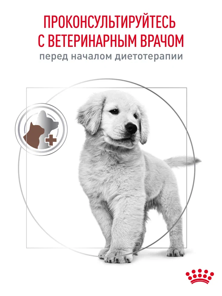 Корм для щенков ROYAL CANIN Gastro Intestinal Junior GIJ29 при нарушениях пищеварения 1кг - фото 7