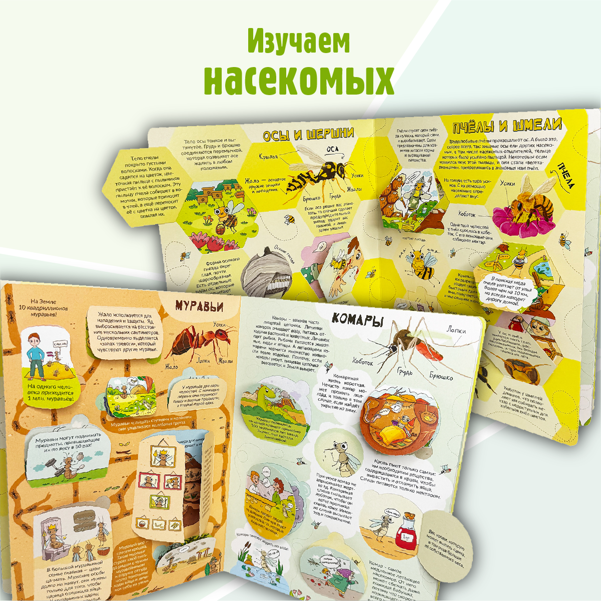 Энциклопедия с окошками БимБиМон Книга детская энциклопедия с окошками Виммельбух - фото 2
