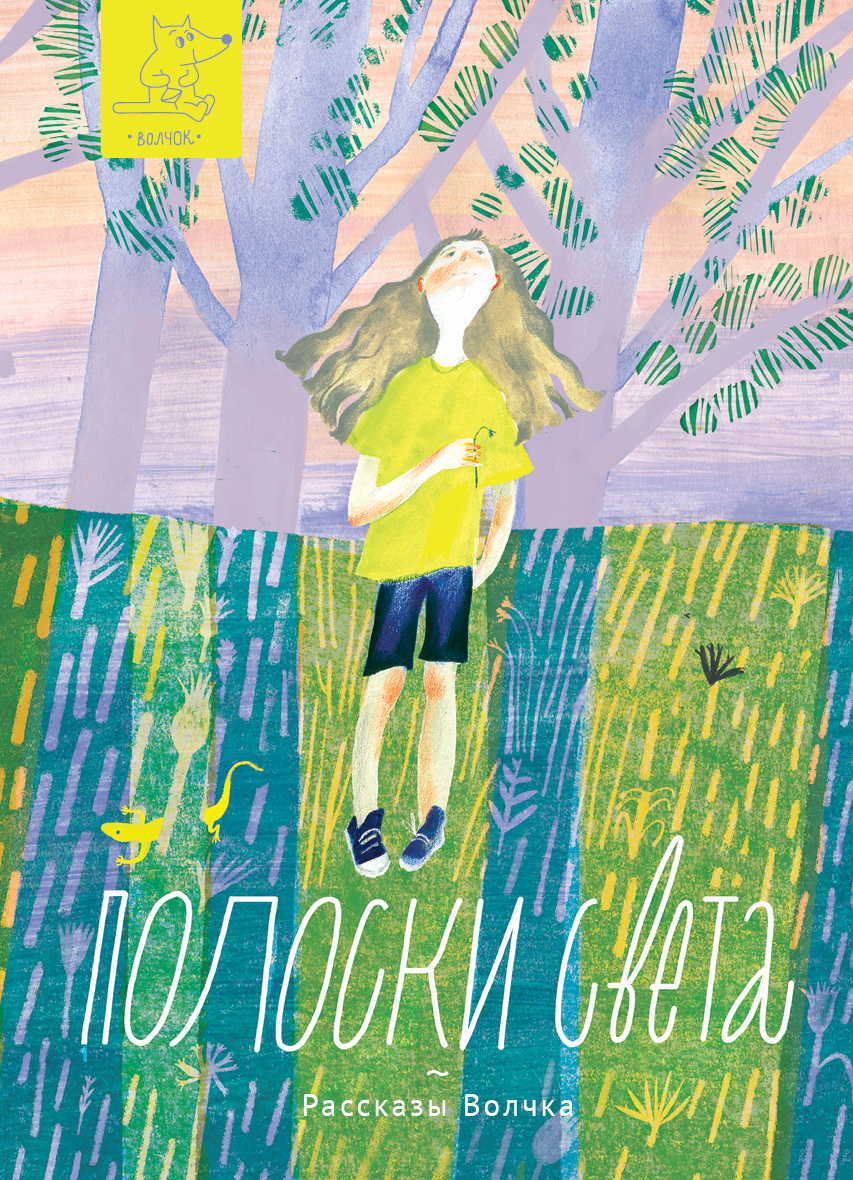 Книга Волчок Полоски света - фото 1