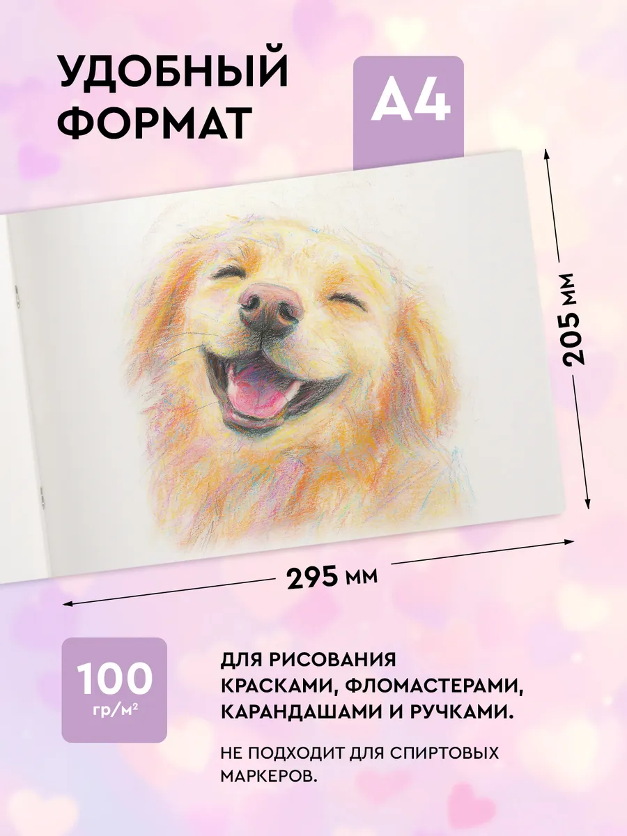 Альбом SCHOOLFORMAT А4 24 лист. 4 шт. - фото 2