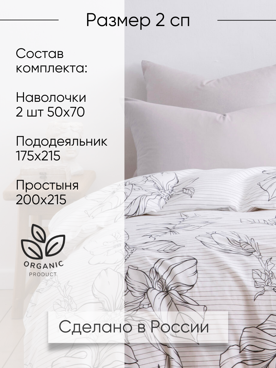 Постельное белье 2 спальное евро Ночь Нежна Джудит наволочки 50х70 - фото 2