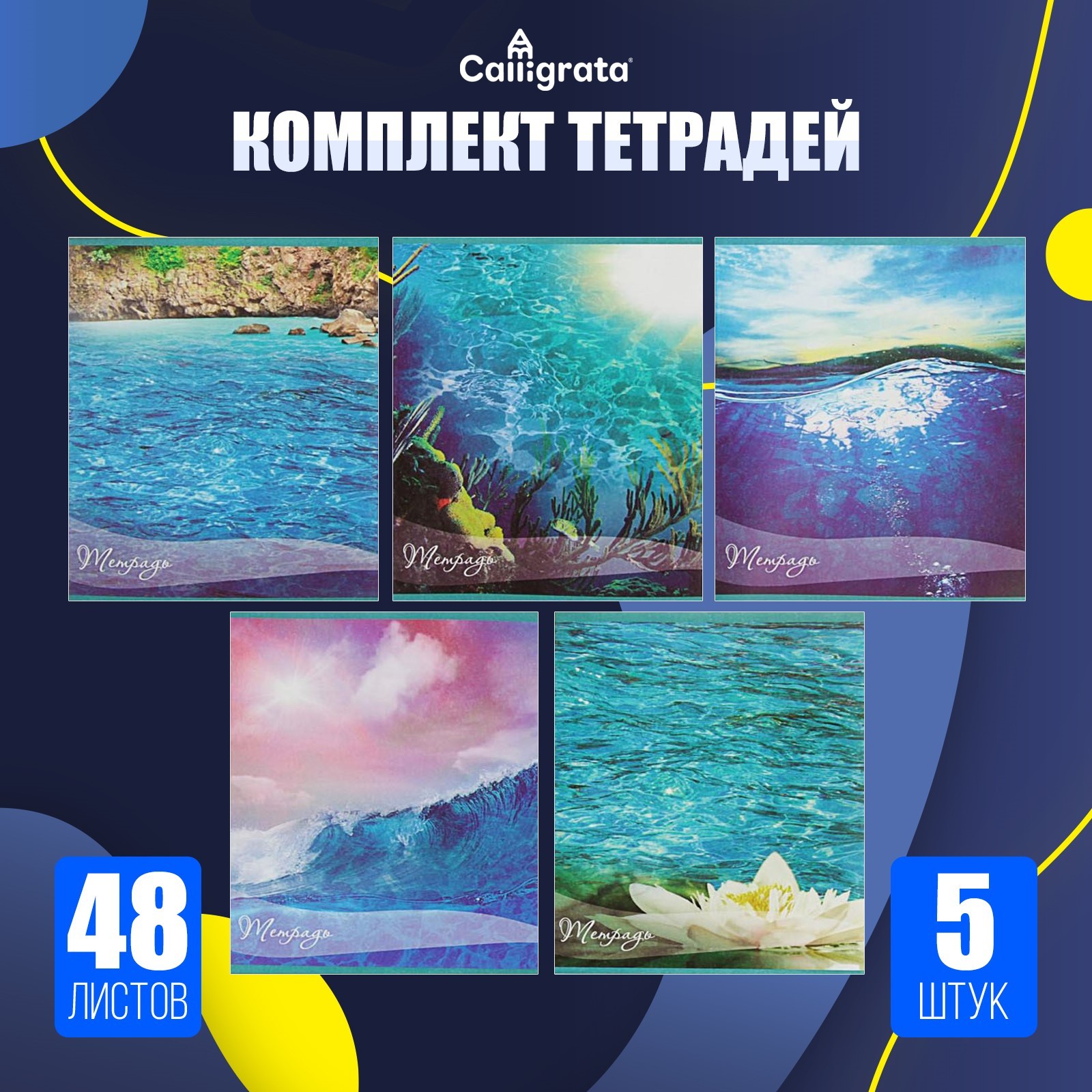 Тетрадь Calligrata клетка - фото 1