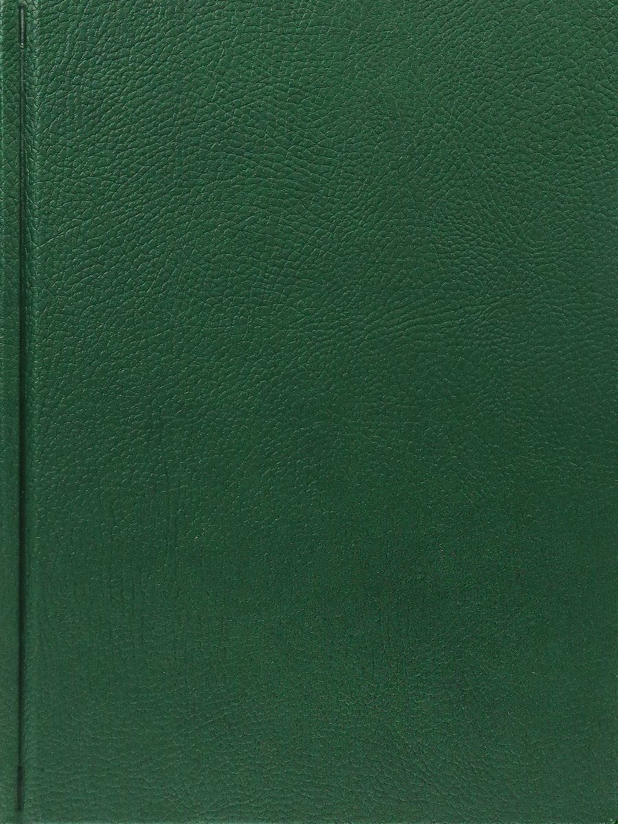 Ежедневник Prof-Press 128 лист. - фото 1