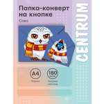 Папка-конверт CENTRUM А4