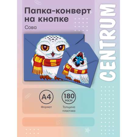 Папка-конверт CENTRUM А4