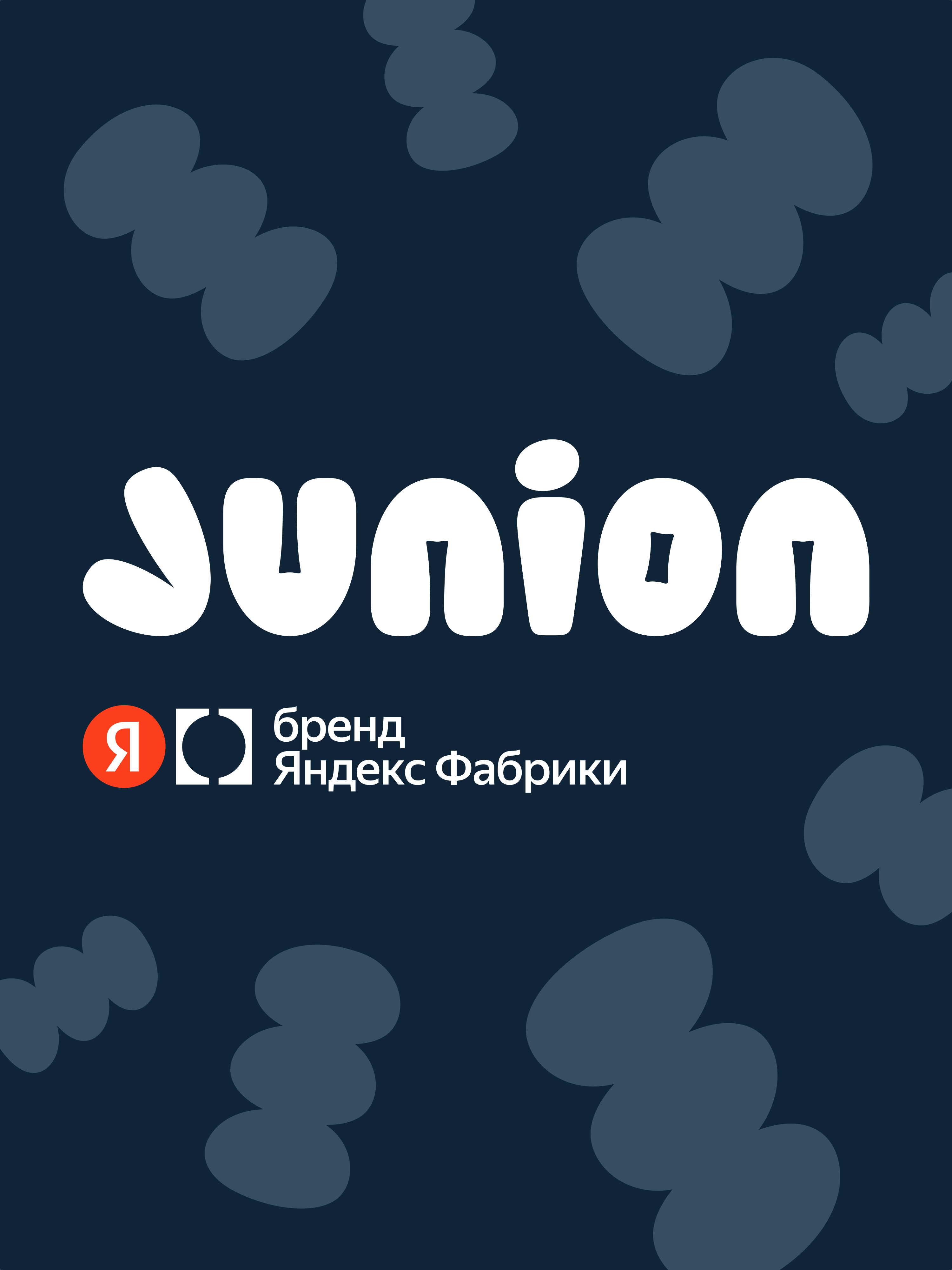 Автокресло Junion Theo Isofix 2/3 (15-36 кг) черный - фото 15