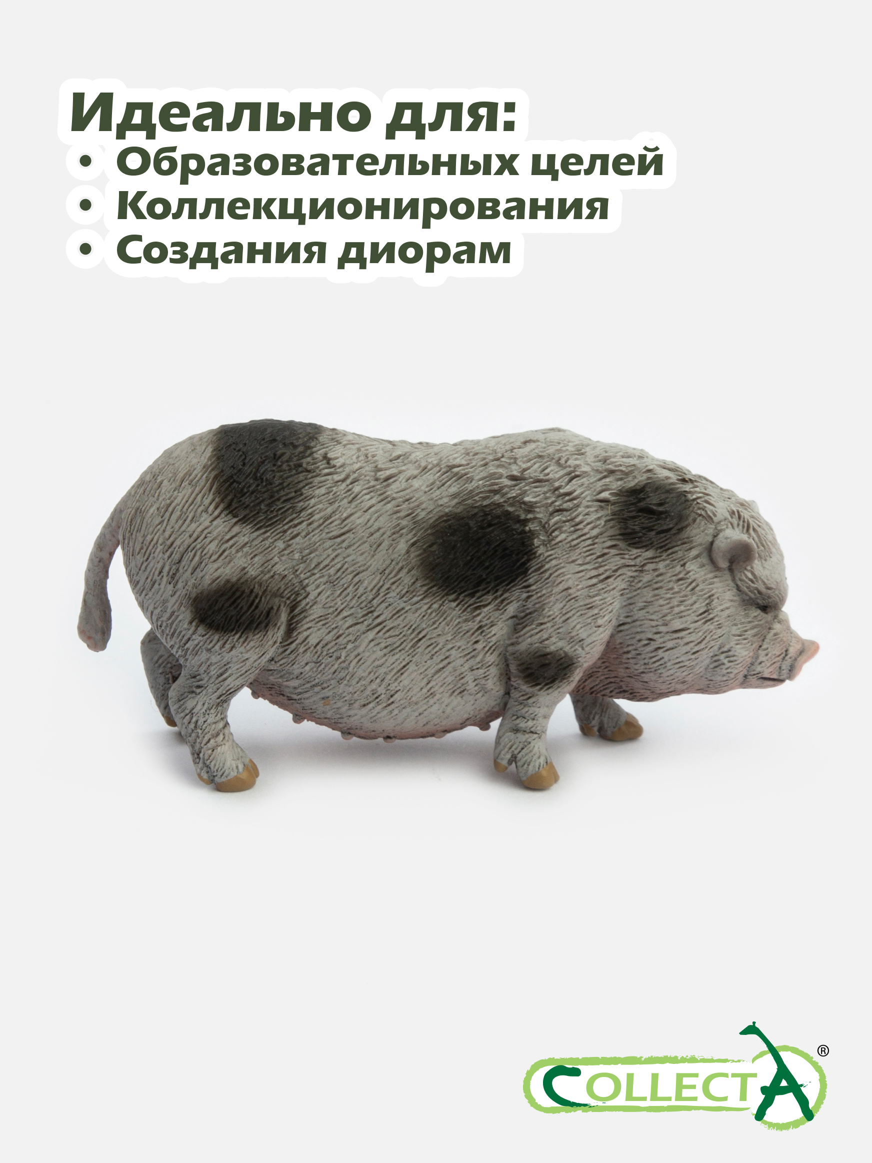 Фигурка Collecta Вьетнамская вислобрюхая свинья - фото 6