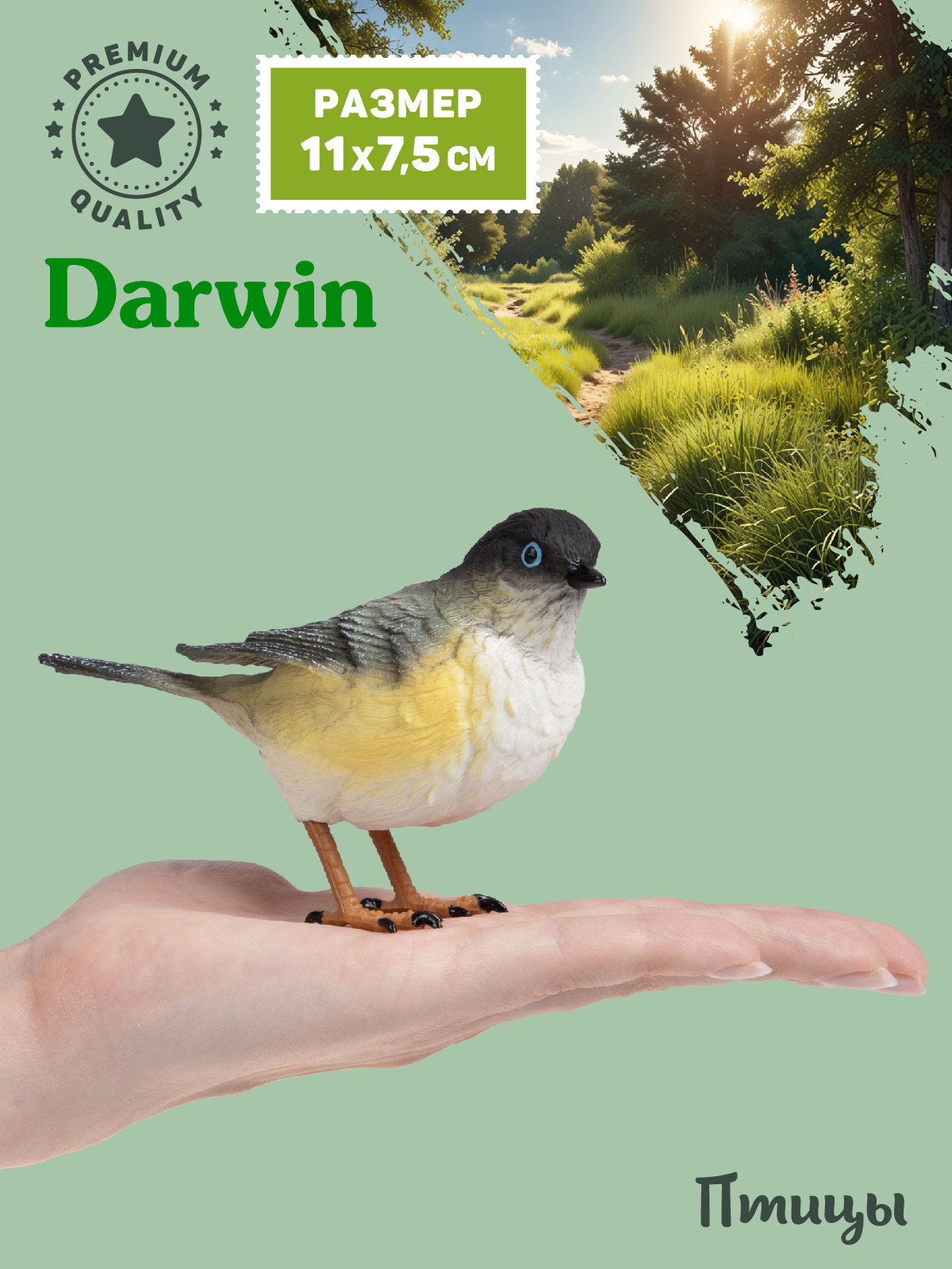 Фигурка DARWIN Птицы Синица - фото 2