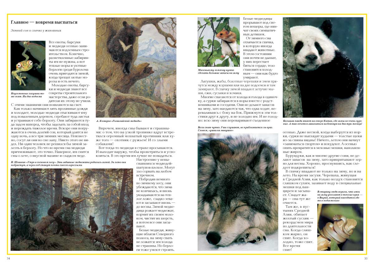 Книга Белый город Загадки животного мира - фото 2