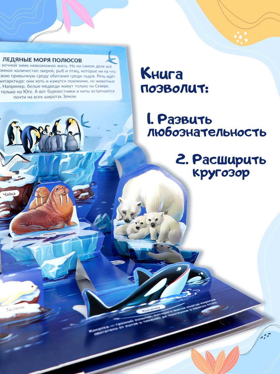 Книга с объемными картинками Malamalama Энциклопедия Живая планета Моря и океаны - фото 4