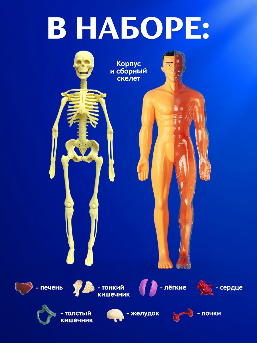 Эврики - фото 4