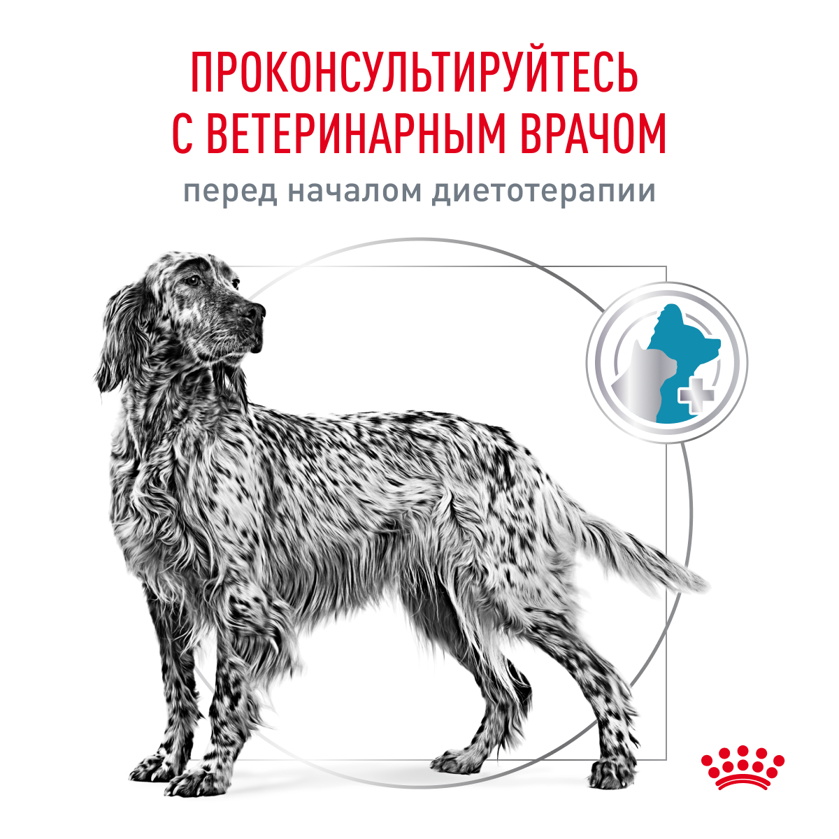 Корм для собак ROYAL CANIN Hypoallergenic для взрослых при пищевой аллергии 1.5кг - фото 8
