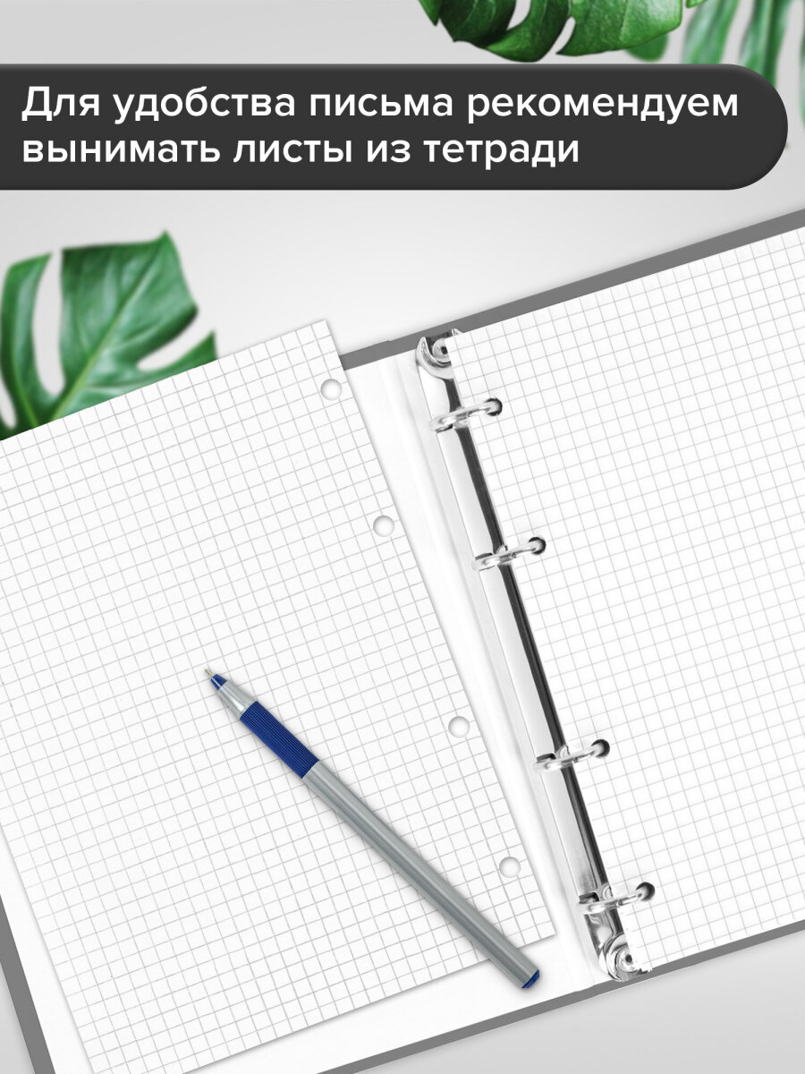 Тетрадь со сменным блоком Brauberg клетка 160 лист. - фото 2