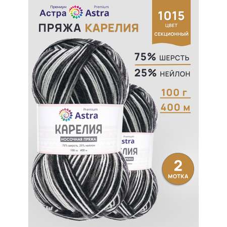 Пряжа для вязания носочная Astra Premium 100г 400м 2шт