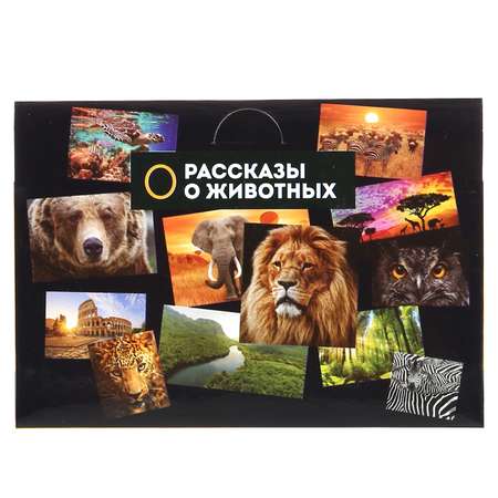 Игрушка Играем вместе