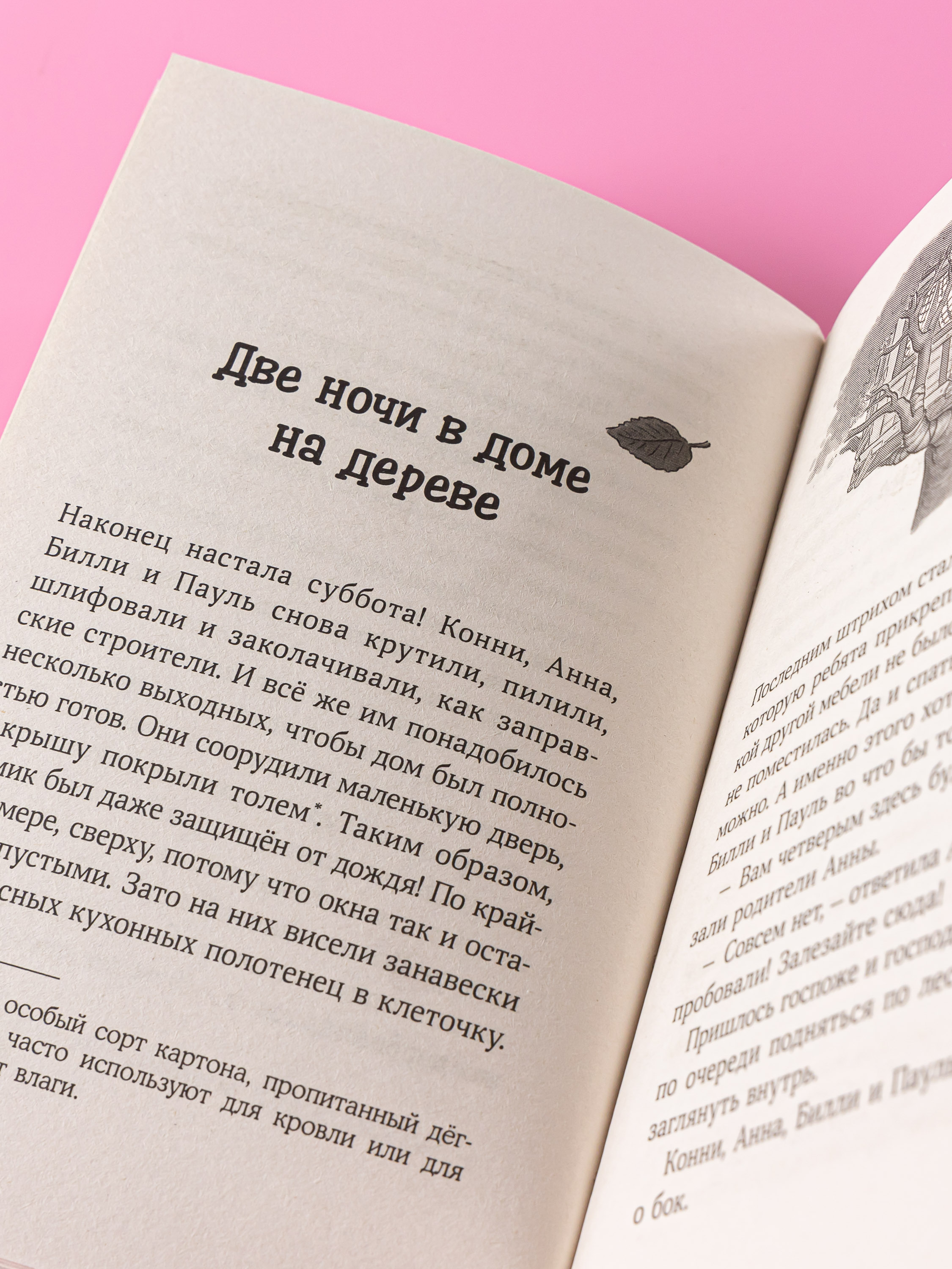 Книга Альпина. Дети Конни и домик на дереве - фото 6