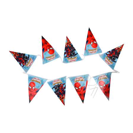 Гирлянды Decorata Party