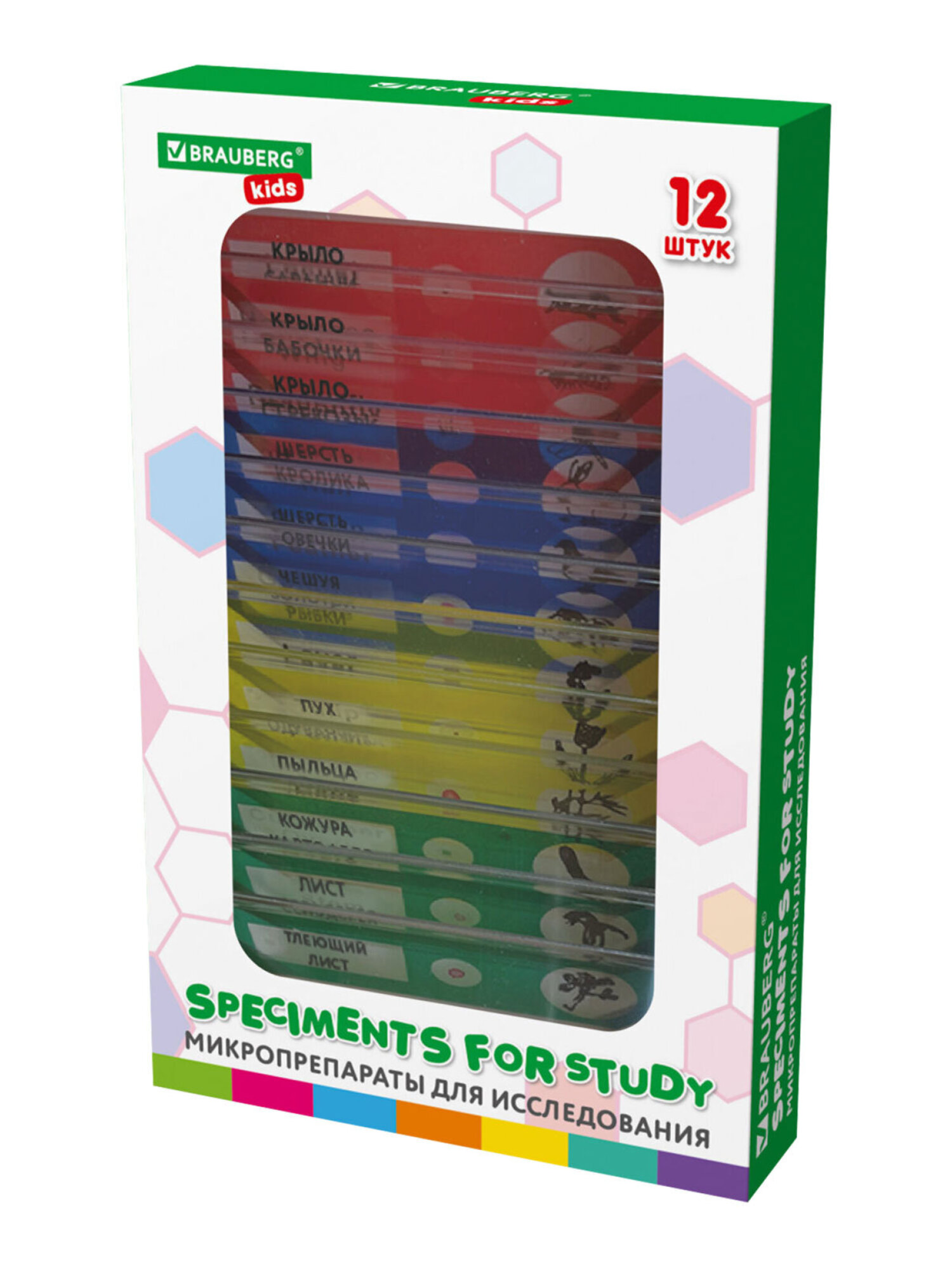 Микроскоп Brauberg - фото 19