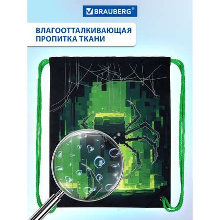 Мешок для обуви Brauberg