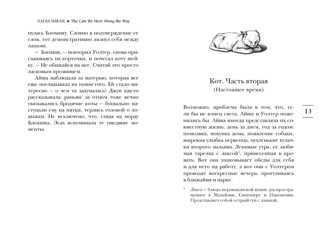 Книга АЗБУКА Эмоцио Микаил Н Выходя из дома не забудьте кота - фото 14